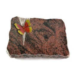 Grabplatte Aruba Delta Papillon 2 (Color)