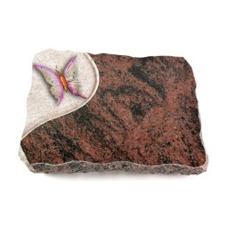 Grabplatte Aruba Folio Papillon 1 (Color)