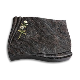 Grabstein Memory/Paradiso Rose 8 (Color)