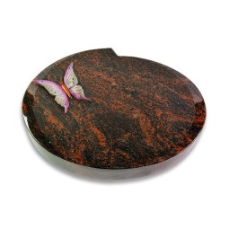 Grabstein Baroque/Aruba Papillon 1 (Color)