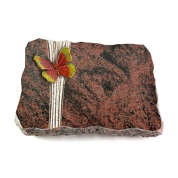 Grabplatte Aruba Strikt Papillon 2 (Color)