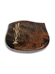 Grabstein Cassiopeia/Aruba Ähren 2 (Bronze)