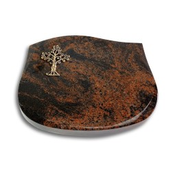 Grabstein Cassiopeia/Aruba Baum 2 (Bronze)