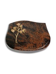 Grabstein Cassiopeia/Aruba Gingozweig 1 (Bronze)