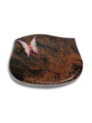Grabstein Cassiopeia/Aruba Papillon 1 (Color)