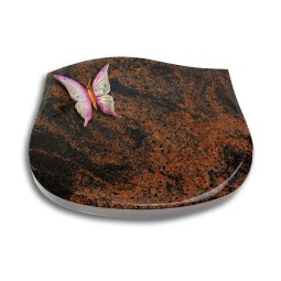 Grabstein Cassiopeia/Aruba Papillon 1 (Color)