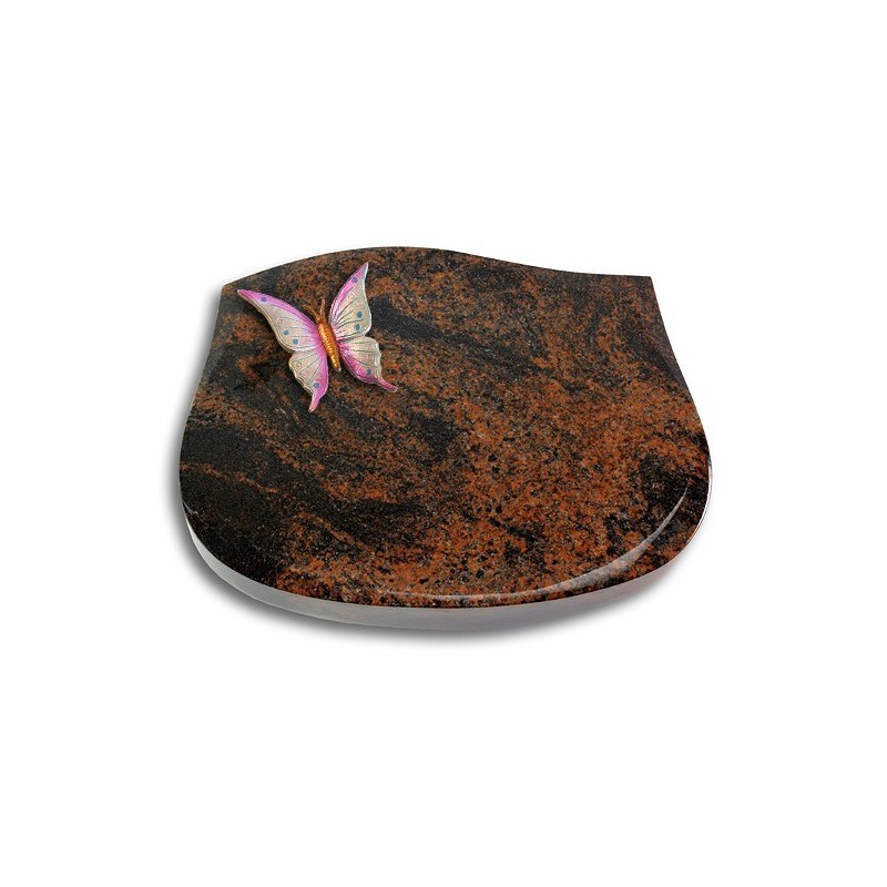 Grabstein Cassiopeia/Aruba Papillon 1 (Color)