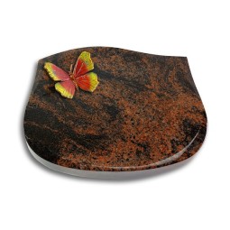 Grabstein Cassiopeia/Aruba Papillon 2 (Color)