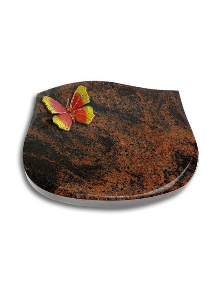 Grabstein Cassiopeia/Aruba Papillon 2 (Color)
