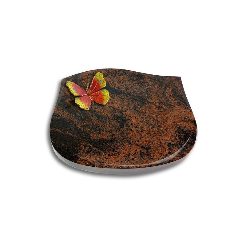 Grabstein Cassiopeia/Aruba Papillon 2 (Color)