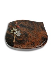 Grabstein Cassiopeia/Aruba Rose 5 (Color)