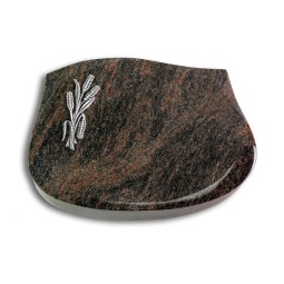 Grabstein Cassiopeia/Himalaya Ähren 1 (Alu)