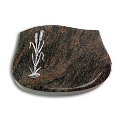 Grabstein Cassiopeia/Himalaya Ähren 2 (Alu)