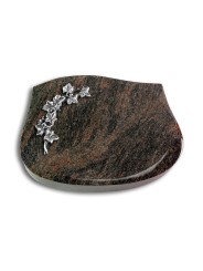 Grabstein Cassiopeia/Himalaya Efeu (Alu)