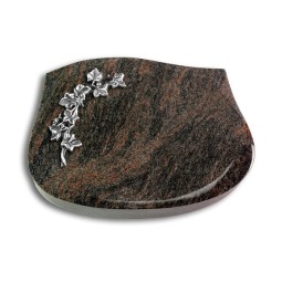 Grabstein Cassiopeia/Himalaya Efeu (Alu)