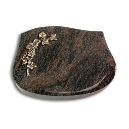 Grabstein Cassiopeia/Himalaya Efeu (Bronze)