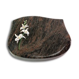 Grabstein Cassiopeia/Himalaya Orchidee (Color)