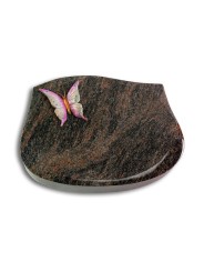 Grabstein Cassiopeia/Himalaya Papillon 1 (Color)