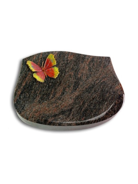 Grabstein Cassiopeia/Himalaya Papillon 2 (Color)
