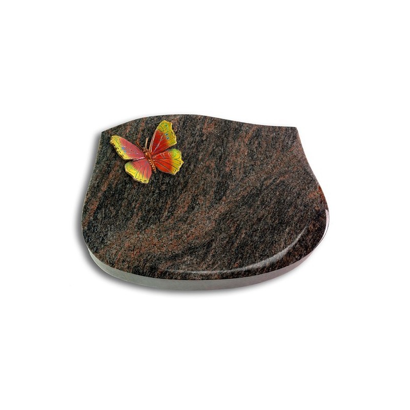 Grabstein Cassiopeia/Himalaya Papillon 2 (Color)