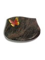 Grabstein Cassiopeia/Himalaya Papillon 2 (Color)