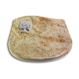 Grabstein Cassiopeia/Kashmir Baum 3 (Alu)