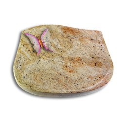 Grabstein Cassiopeia/Kashmir Papillon 1 (Color)