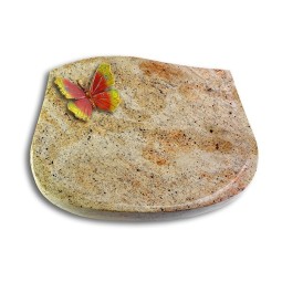 Grabstein Cassiopeia/Kashmir Papillon 2 (Color)