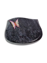 Grabstein Cassiopeia/Orion Papillon 1 (Color)