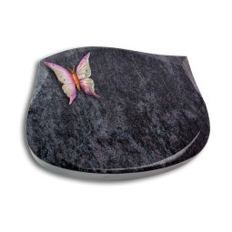 Grabstein Cassiopeia/Orion Papillon 1 (Color)