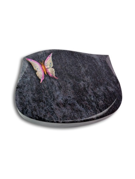 Grabstein Cassiopeia/Orion Papillon 1 (Color)