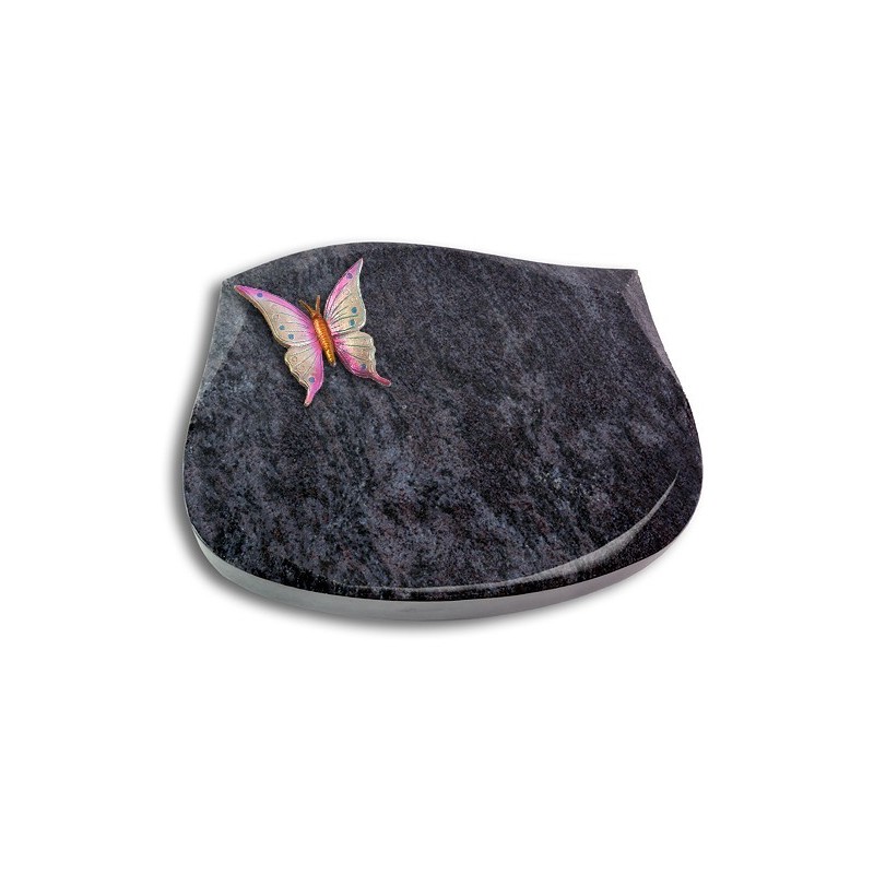 Grabstein Cassiopeia/Orion Papillon 1 (Color)