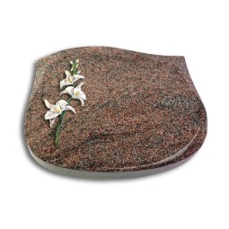 Grabstein Cassiopeia/Paradiso Orchidee (Color)