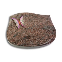 Grabstein Cassiopeia/Paradiso Papillon 1 (Color)