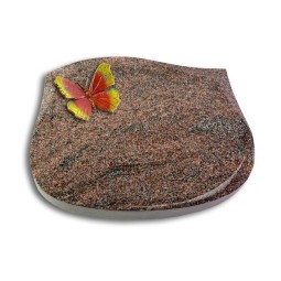 Grabstein Cassiopeia/Paradiso Papillon 2 (Color)