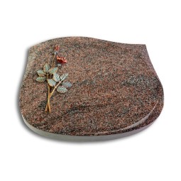 Grabstein Cassiopeia/Paradiso Rose 5 (Color)