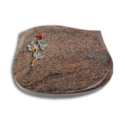 Grabstein Cassiopeia/Paradiso Rose 7 (Color)