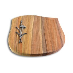 Grabstein Cassiopeia/Rainbow Lilienzweig (Alu)