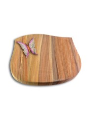 Grabstein Cassiopeia/Rainbow Papillon 1 (Color)