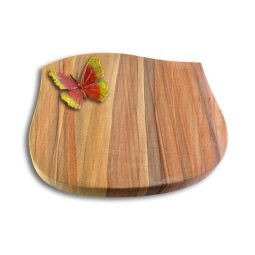 Grabstein Cassiopeia/Rainbow Papillon 2 (Color)