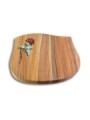 Grabstein Cassiopeia/Rainbow Rose 2 (Color)