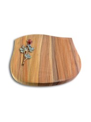 Grabstein Cassiopeia/Rainbow Rose 7 (Color)