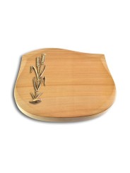 Grabstein Cassiopeia/Woodland Ähren 2 (Bronze)