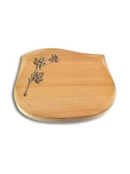 Grabstein Cassiopeia/Woodland Rose 9 (Bronze)