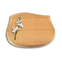 Grabstein Cassiopeia/Woodland Orchidee (Color)