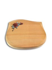 Grabstein Cassiopeia/Woodland Rose 1 (Color)