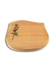 Grabstein Cassiopeia/Woodland Rose 6 (Color)