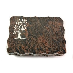 Grabplatte Barap Pure Baum 1