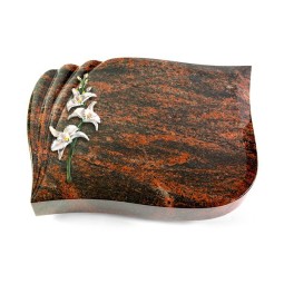 Grabstein Eterna/Aruba Orchidee (Color)