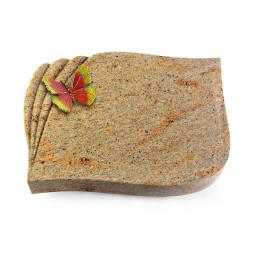 Grabstein Eterna/New-Kashmir Papillon 2 (Color)